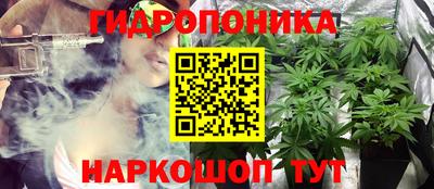 спайс Можга
