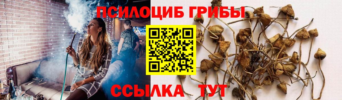 Галлюциногенные грибы GOLDEN TEACHER  Галлюциногенные грибы MAGIC MUSHROOMS  Вход с VPN  Димитровград 